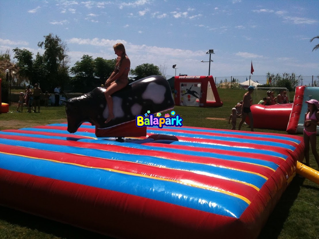 Bisonbulle (mechanisch)