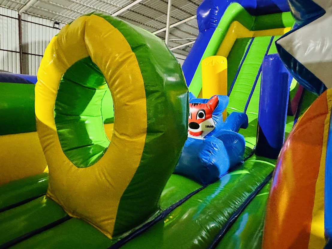 Mavi Kedi Şişme Oyun Parkı