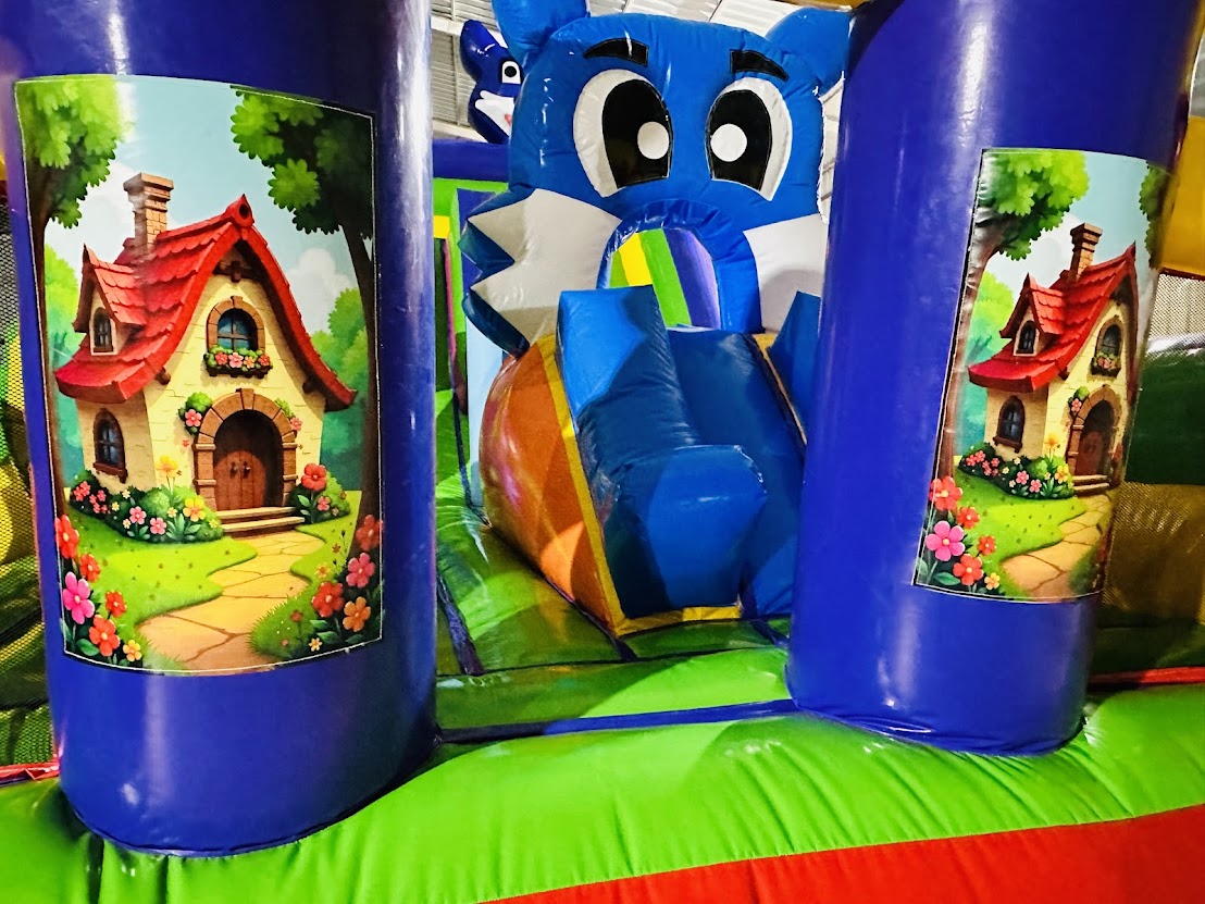 Mavi Kedi Şişme Oyun Parkı