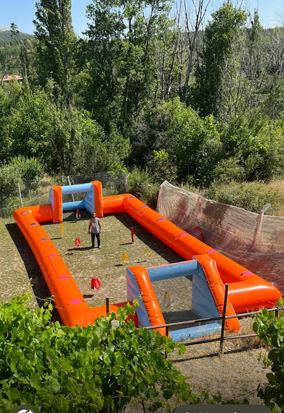 Şişme Canlı Langırt