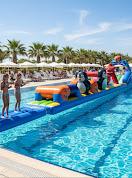 Inflatable Penguin Pool Game